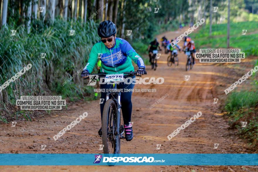 Circuito AEJ de Mountain Bike 2022