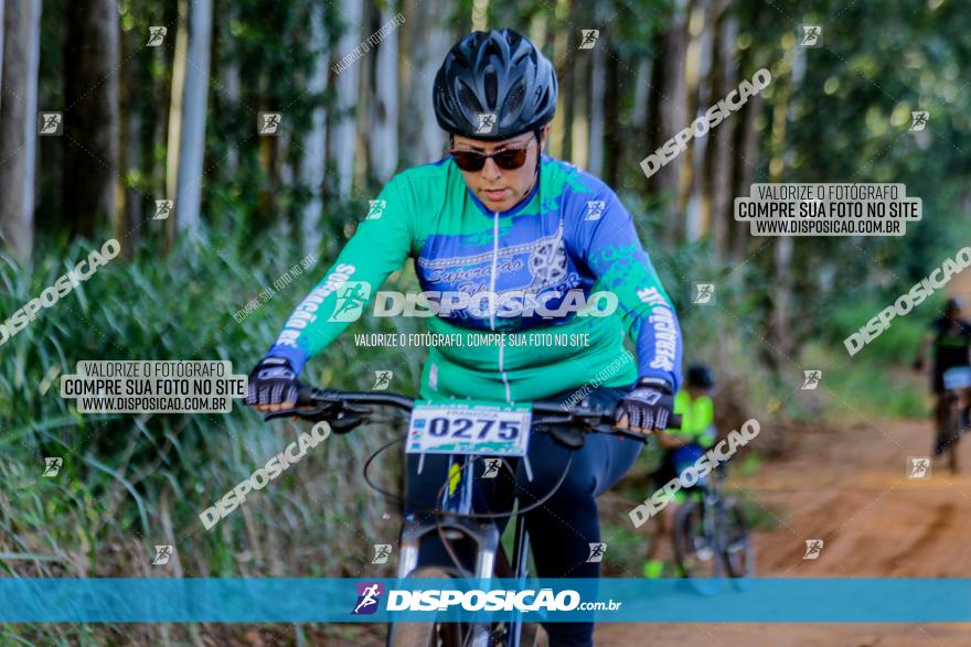 Circuito AEJ de Mountain Bike 2022