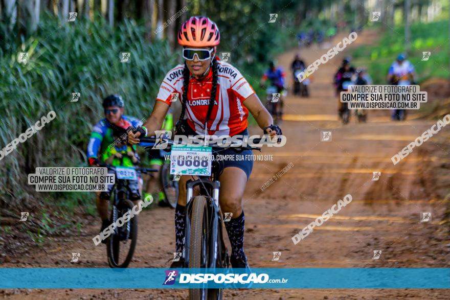 Circuito AEJ de Mountain Bike 2022