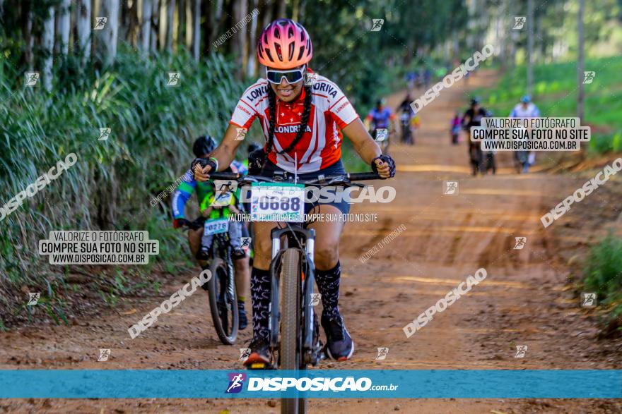 Circuito AEJ de Mountain Bike 2022