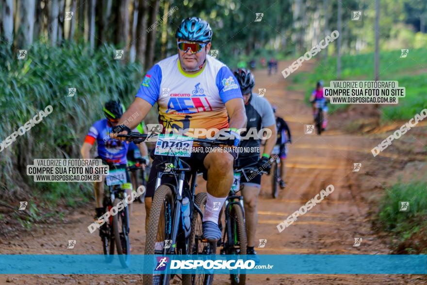 Circuito AEJ de Mountain Bike 2022