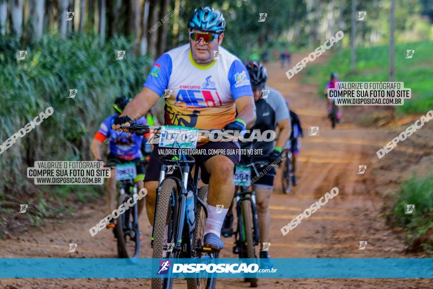 Circuito AEJ de Mountain Bike 2022