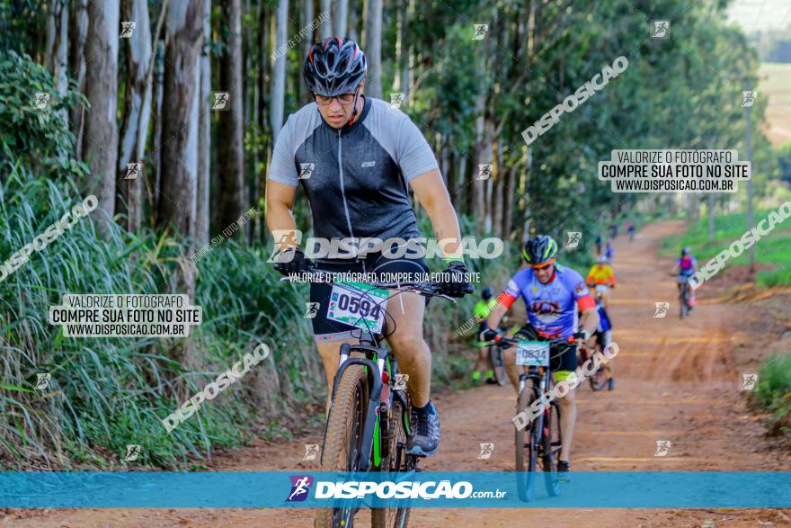 Circuito AEJ de Mountain Bike 2022