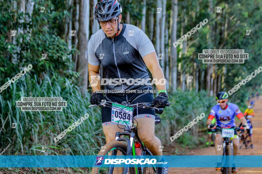 Circuito AEJ de Mountain Bike 2022