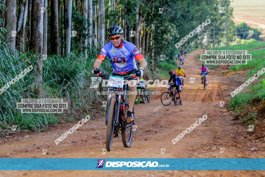 Circuito AEJ de Mountain Bike 2022