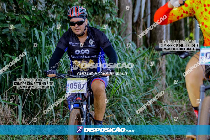 Circuito AEJ de Mountain Bike 2022