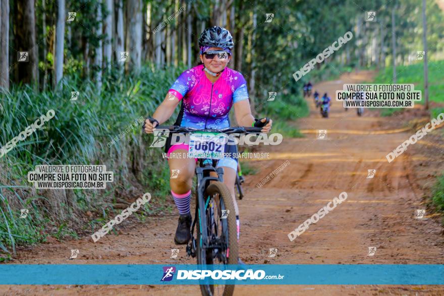 Circuito AEJ de Mountain Bike 2022