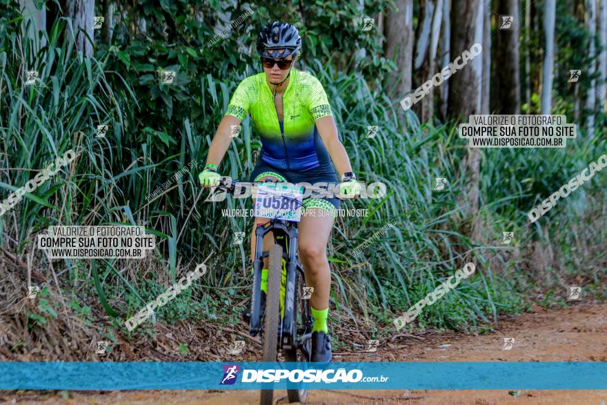 Circuito AEJ de Mountain Bike 2022