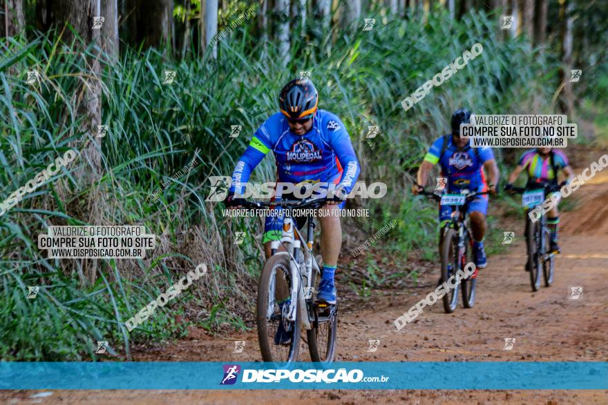 Circuito AEJ de Mountain Bike 2022