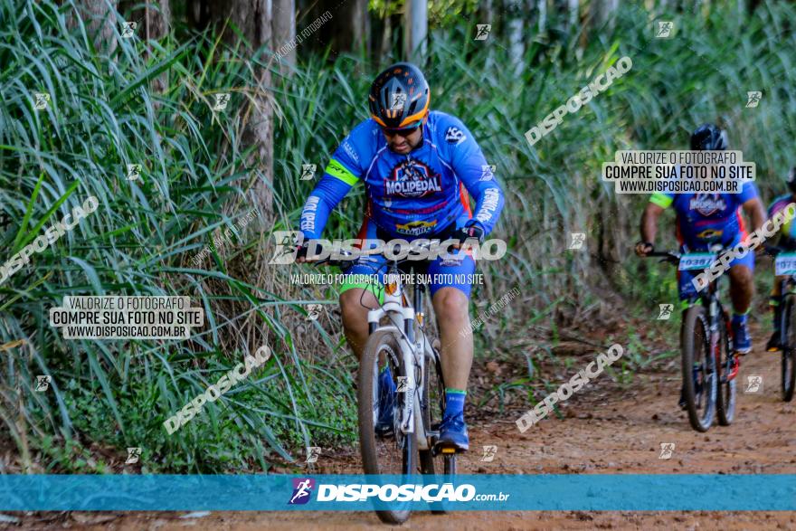 Circuito AEJ de Mountain Bike 2022