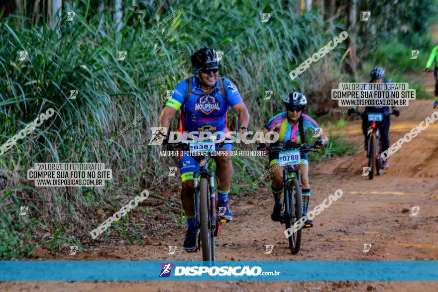 Circuito AEJ de Mountain Bike 2022