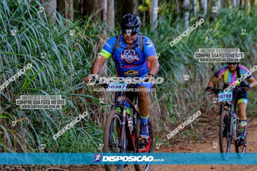 Circuito AEJ de Mountain Bike 2022