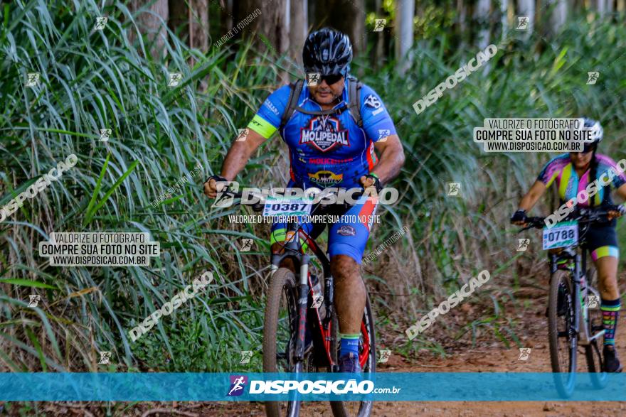 Circuito AEJ de Mountain Bike 2022