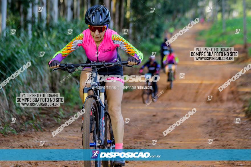 Circuito AEJ de Mountain Bike 2022