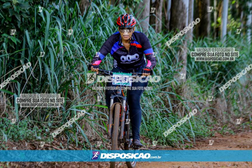 Circuito AEJ de Mountain Bike 2022