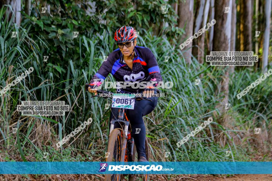 Circuito AEJ de Mountain Bike 2022