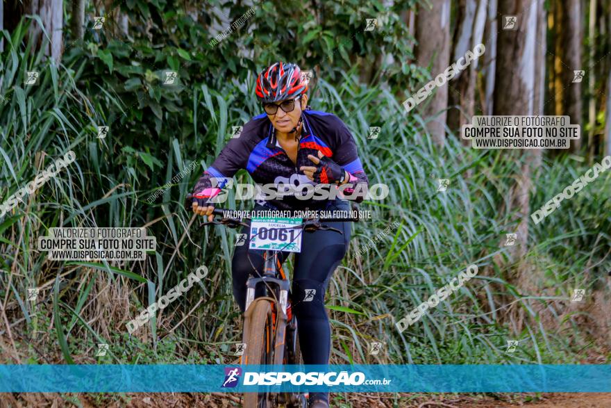 Circuito AEJ de Mountain Bike 2022