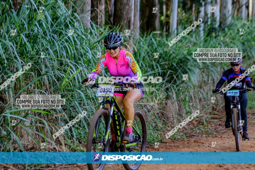 Circuito AEJ de Mountain Bike 2022