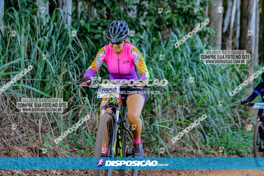 Circuito AEJ de Mountain Bike 2022