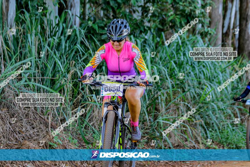 Circuito AEJ de Mountain Bike 2022