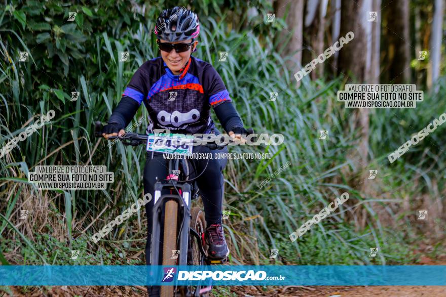 Circuito AEJ de Mountain Bike 2022