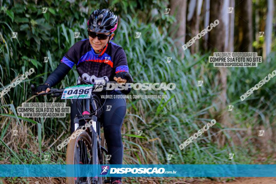 Circuito AEJ de Mountain Bike 2022