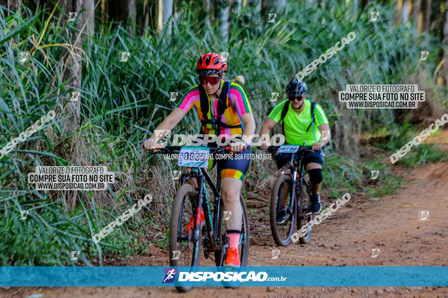 Circuito AEJ de Mountain Bike 2022