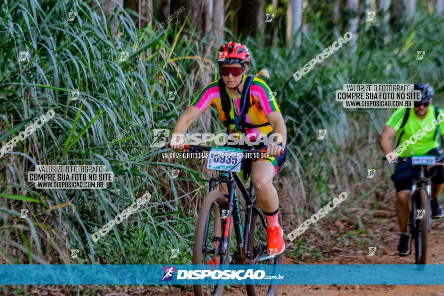 Circuito AEJ de Mountain Bike 2022