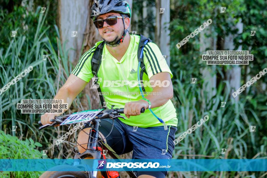 Circuito AEJ de Mountain Bike 2022