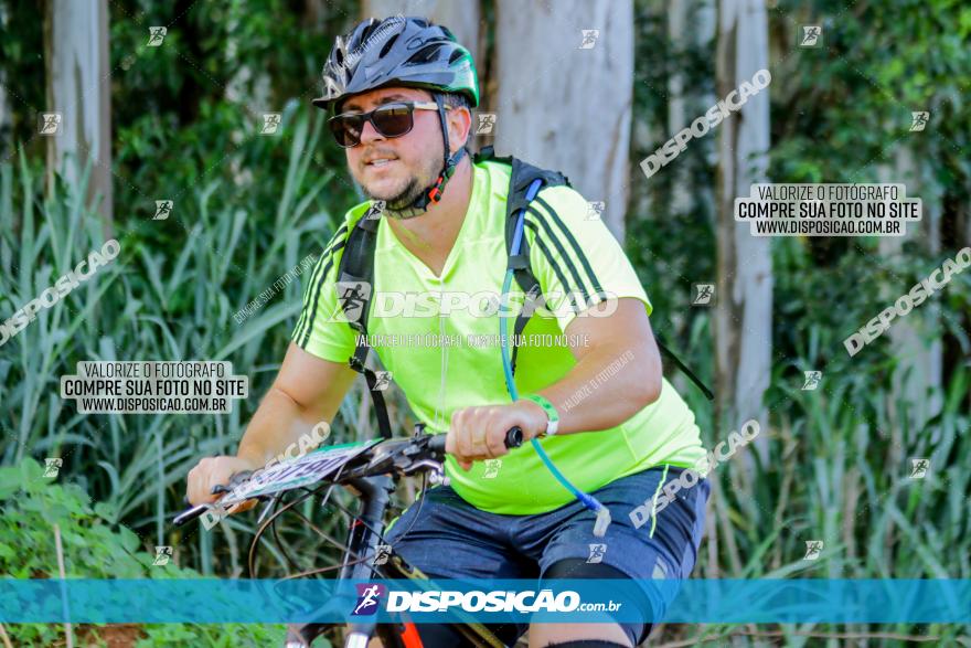 Circuito AEJ de Mountain Bike 2022