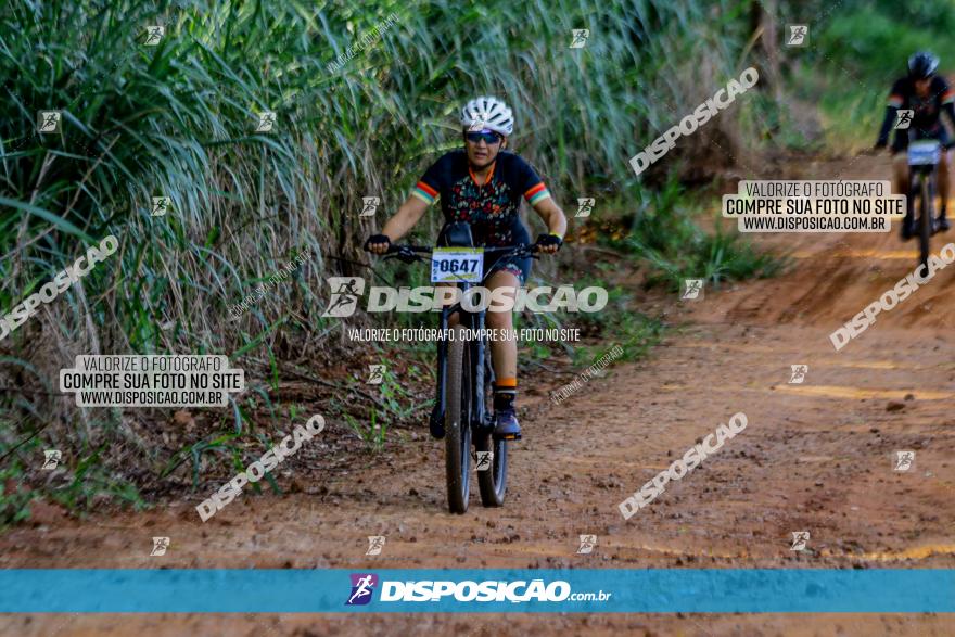 Circuito AEJ de Mountain Bike 2022