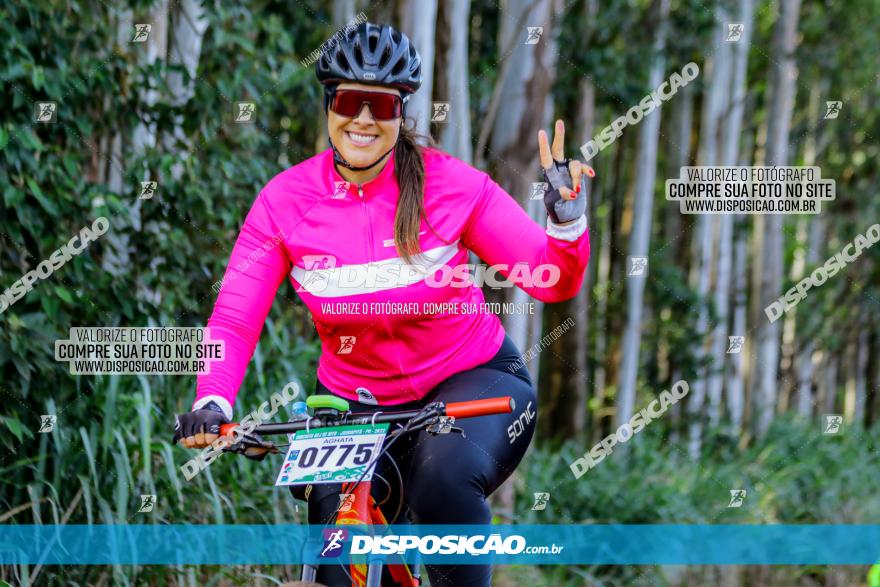 Circuito AEJ de Mountain Bike 2022