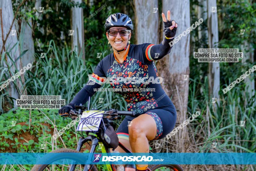 Circuito AEJ de Mountain Bike 2022