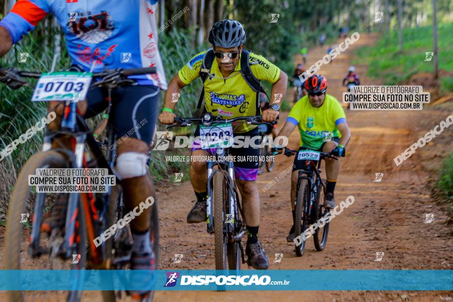 Circuito AEJ de Mountain Bike 2022