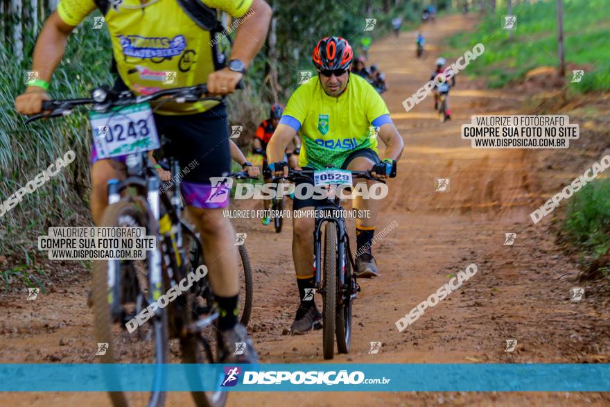 Circuito AEJ de Mountain Bike 2022