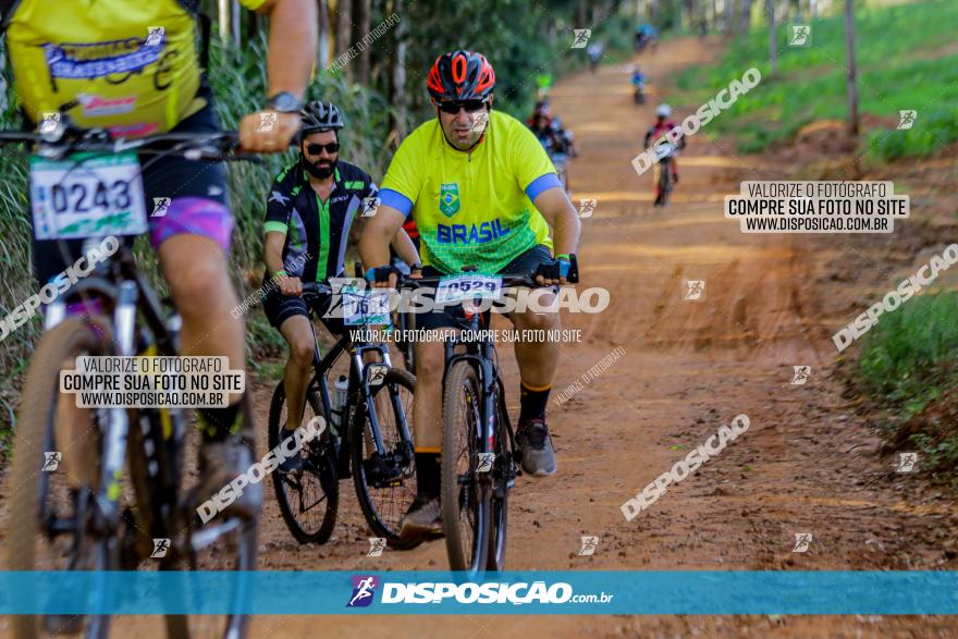 Circuito AEJ de Mountain Bike 2022