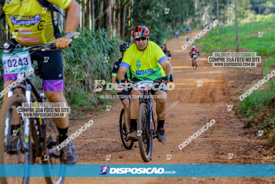 Circuito AEJ de Mountain Bike 2022