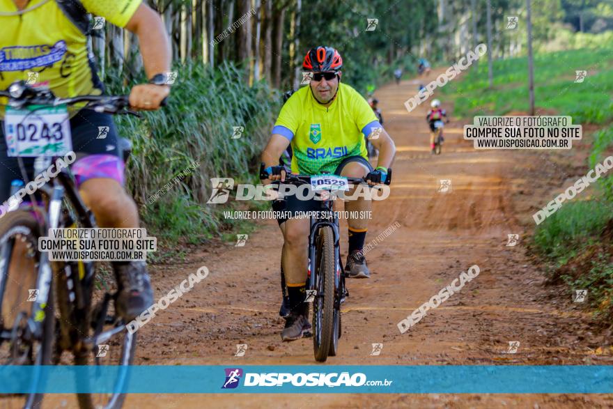 Circuito AEJ de Mountain Bike 2022