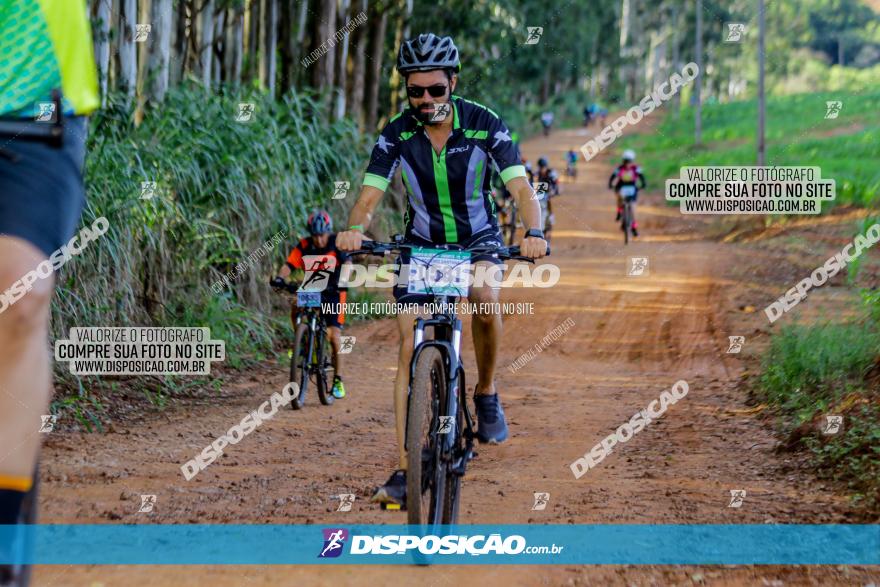 Circuito AEJ de Mountain Bike 2022