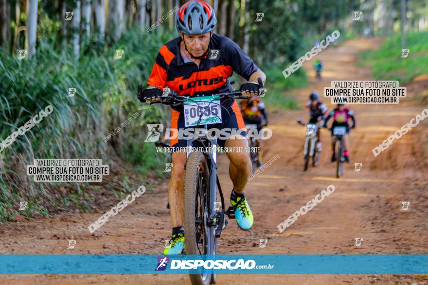 Circuito AEJ de Mountain Bike 2022