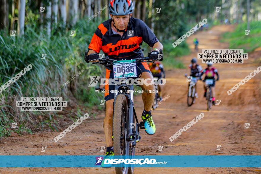 Circuito AEJ de Mountain Bike 2022