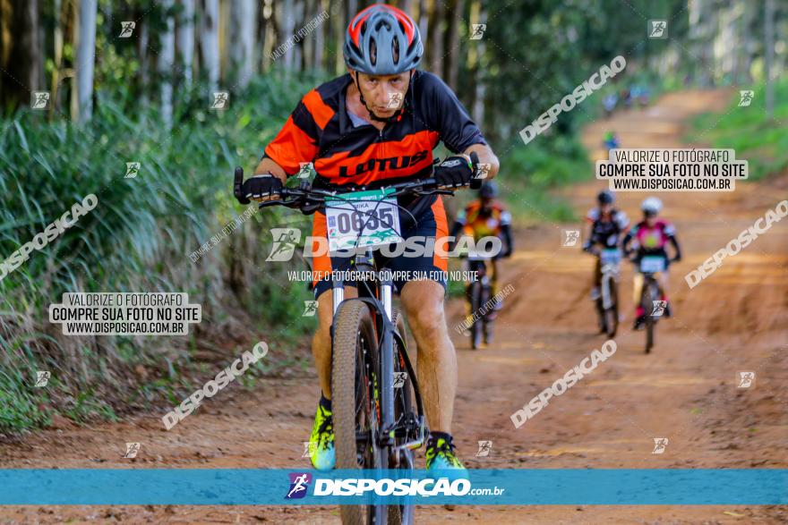 Circuito AEJ de Mountain Bike 2022