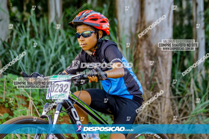 Circuito AEJ de Mountain Bike 2022