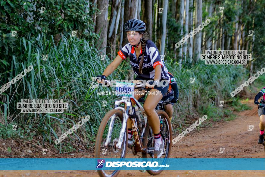 Circuito AEJ de Mountain Bike 2022