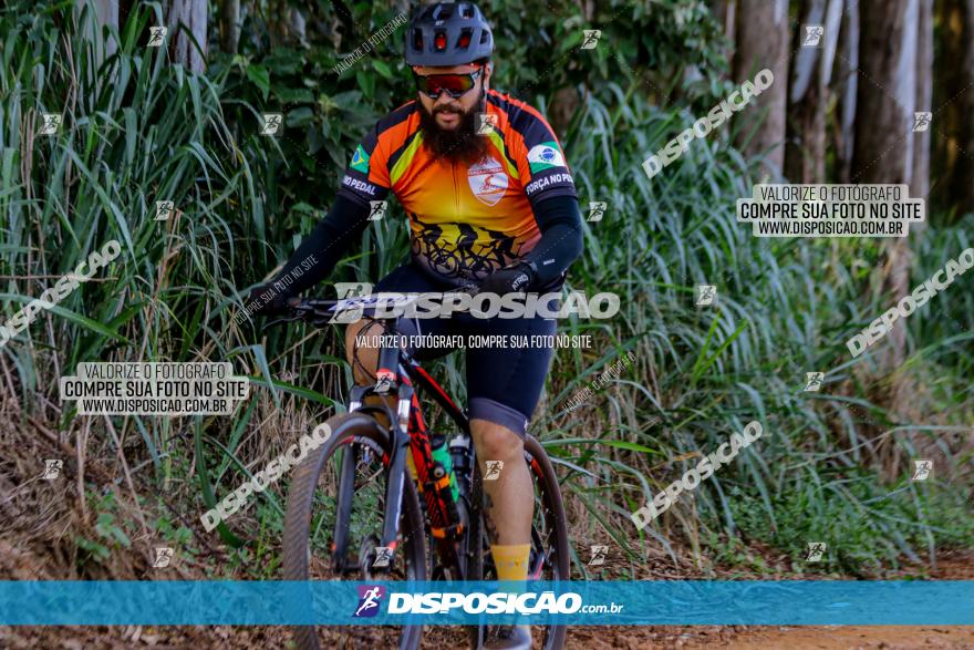 Circuito AEJ de Mountain Bike 2022