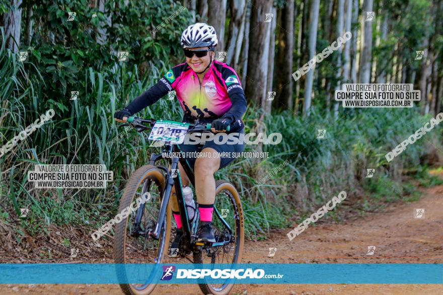 Circuito AEJ de Mountain Bike 2022