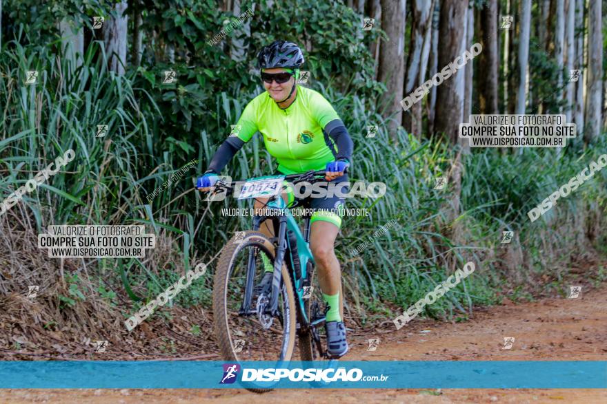 Circuito AEJ de Mountain Bike 2022