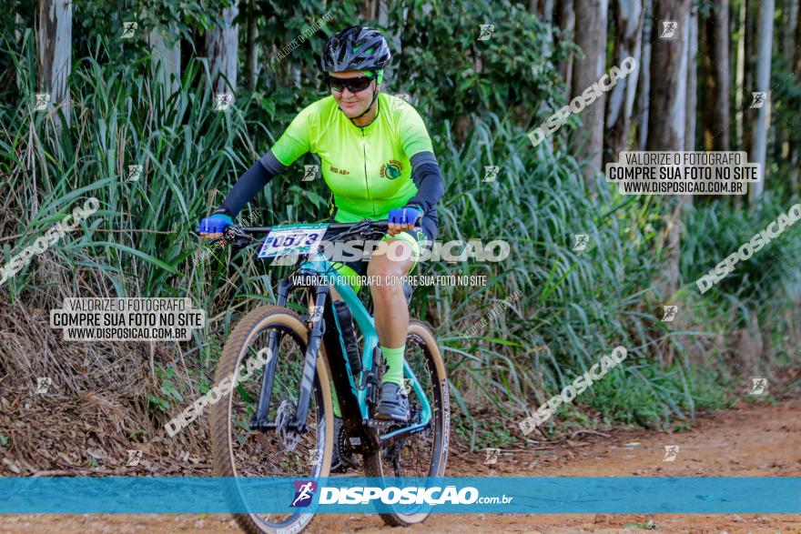 Circuito AEJ de Mountain Bike 2022