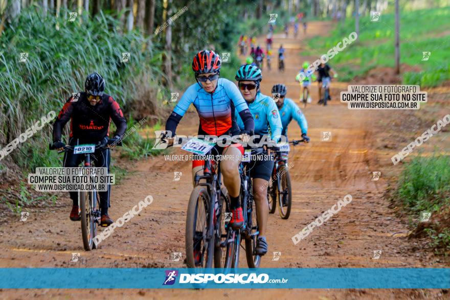 Circuito AEJ de Mountain Bike 2022