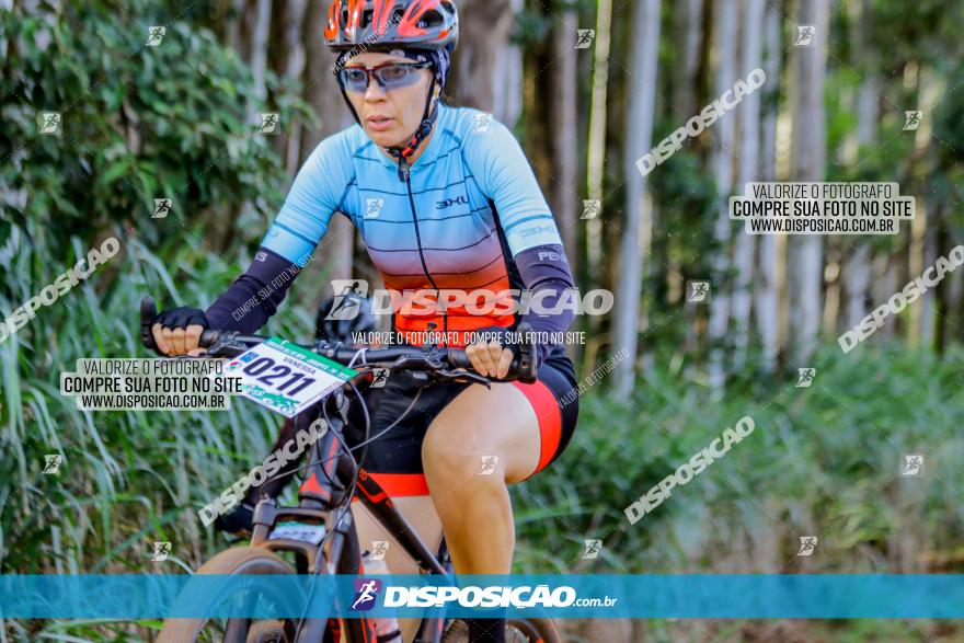 Circuito AEJ de Mountain Bike 2022